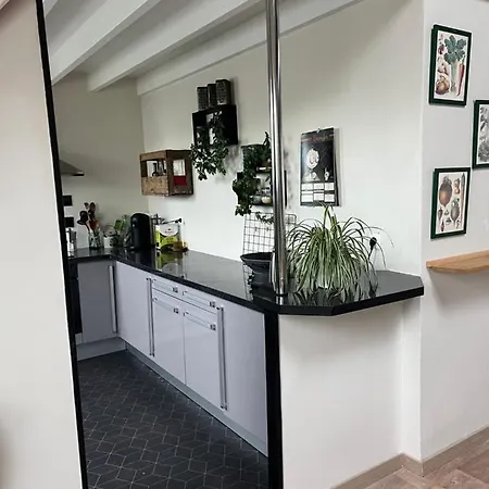 Bel appartement en cœur de ville, déco passion A 10mn à pieds de Nausicaa Appartamento