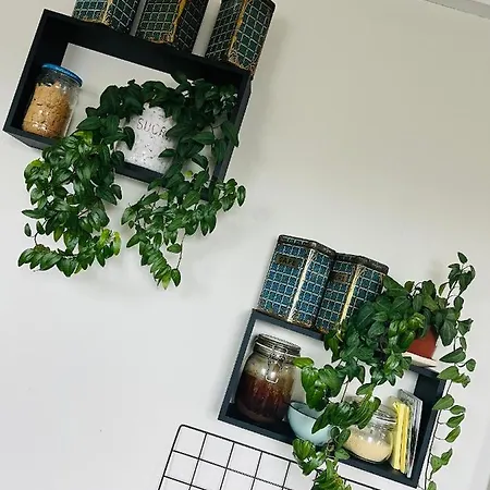 Bel appartement en cœur de ville, déco passion A 10mn à pieds de Nausicaa *
