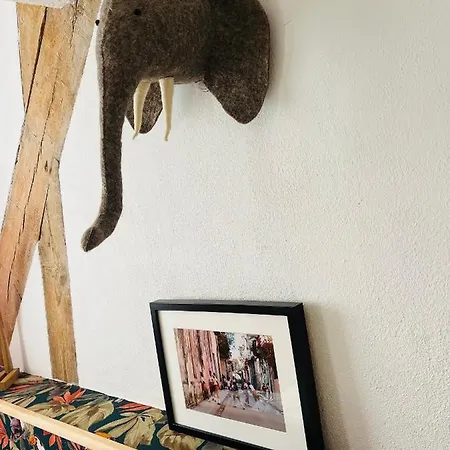 Bel appartement en cœur de ville, déco passion A 10mn à pieds de Nausicaa Boulogne-sur-Mer